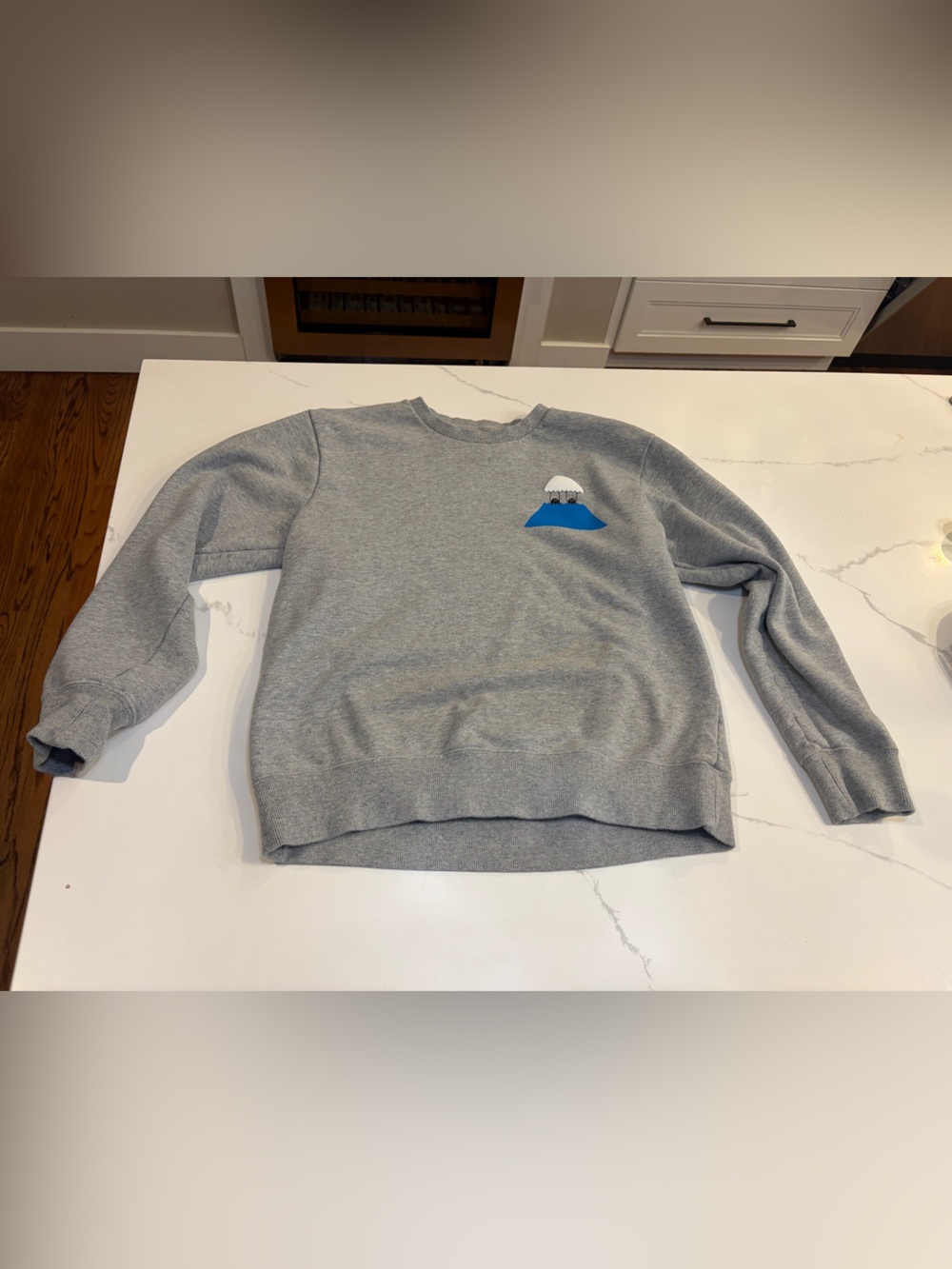 Graniph Japan Graphic Sweatshirt Mens M Gray Blue Mountain Design Crewneck